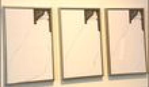 Chataigneraie : Delalleau expose